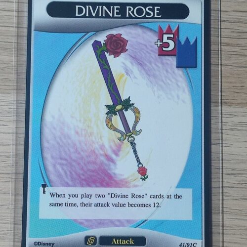 Divine rose