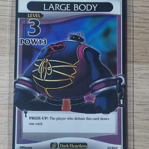 Large body
