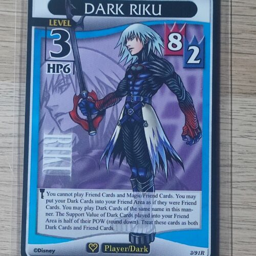 Dark Riku
