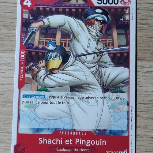 Shachi et Pingouin