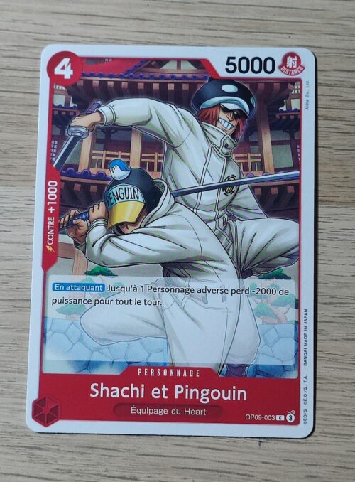 Shachi et Pingouin