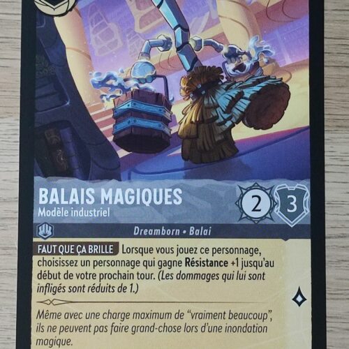 Balais Magiques