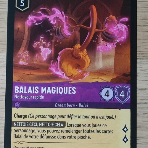 Balais Magiques
