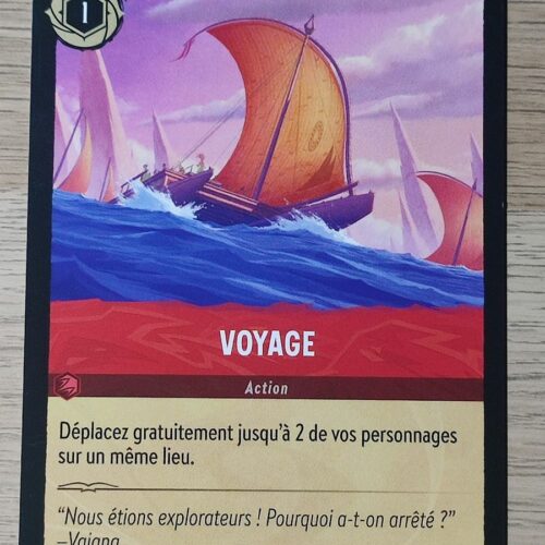Voyage