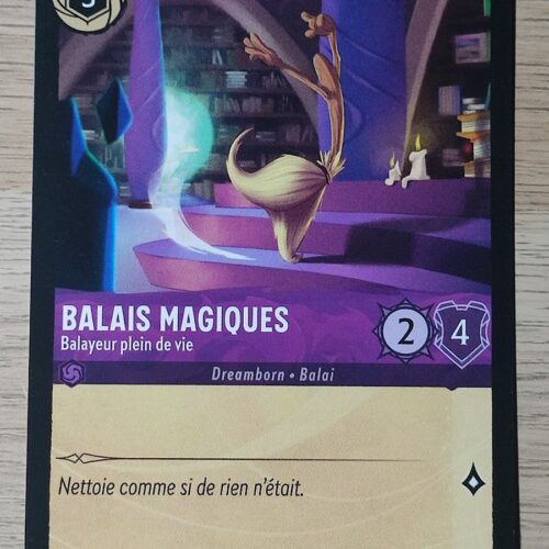 Balais Magiques