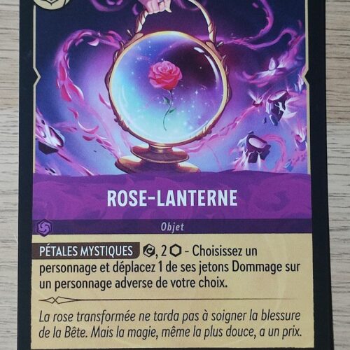Rose Lanterne