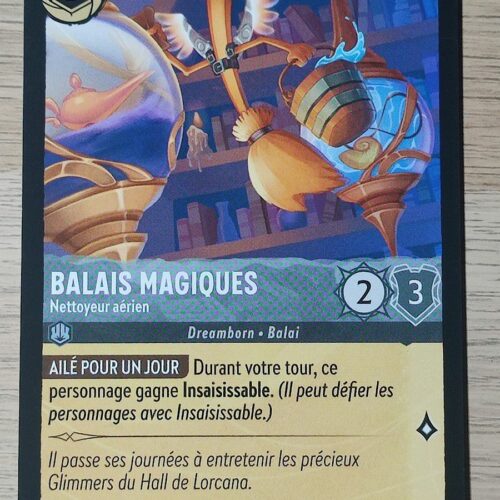 Balais Magiques