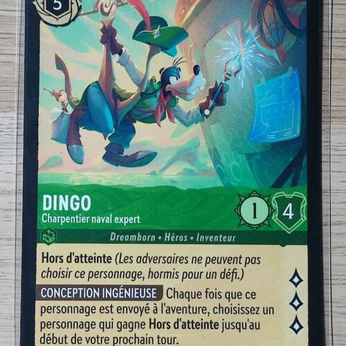 Dingo
