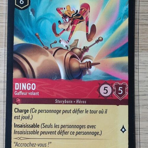 Dingo