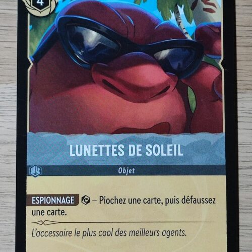 Lunettes de soleil
