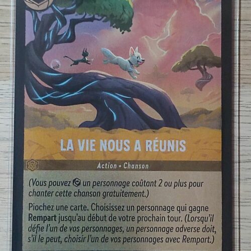 La vie nous à réunis