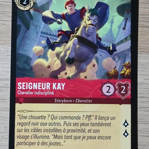 Seigneur Kay