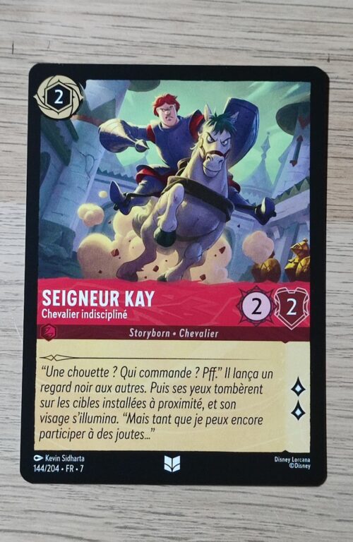 Seigneur Kay