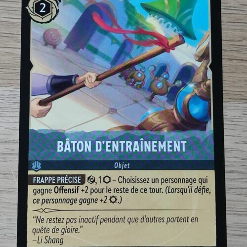 Bâton d’entrainement