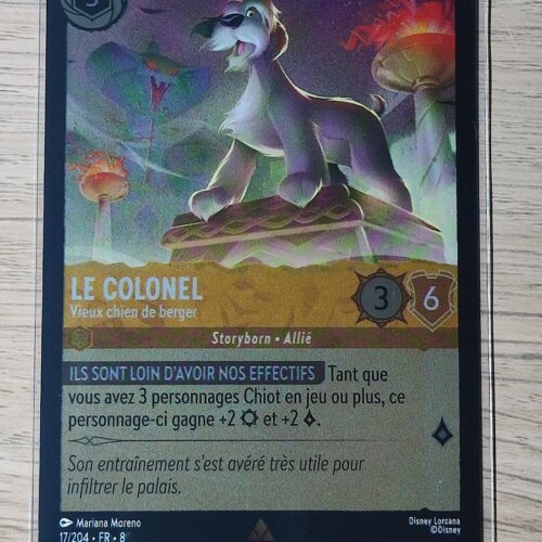 Le colonel