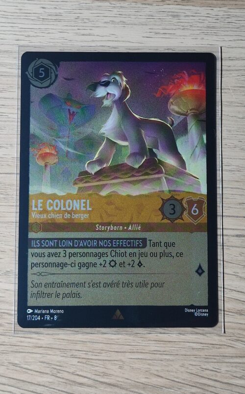 Le colonel