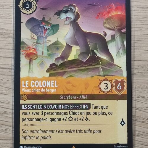 Le colonel
