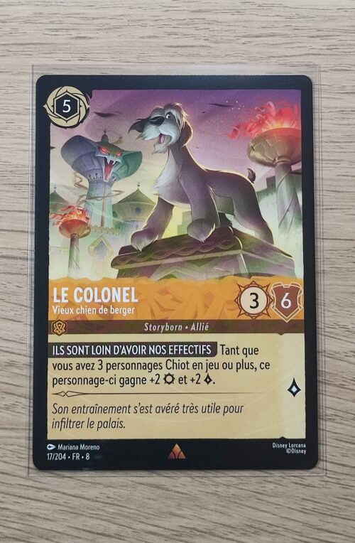 Le colonel