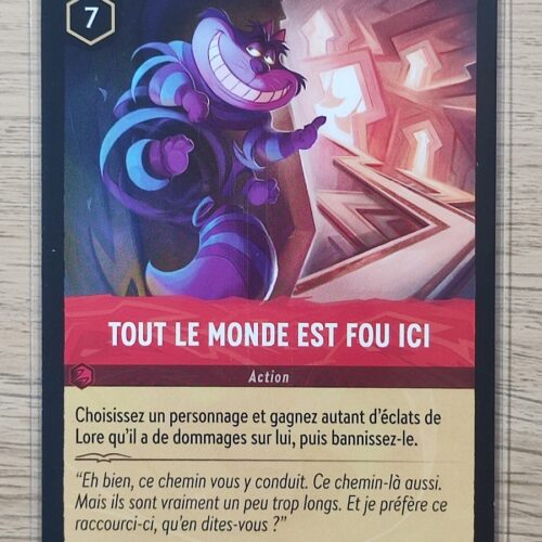Tout le monde est fou ici