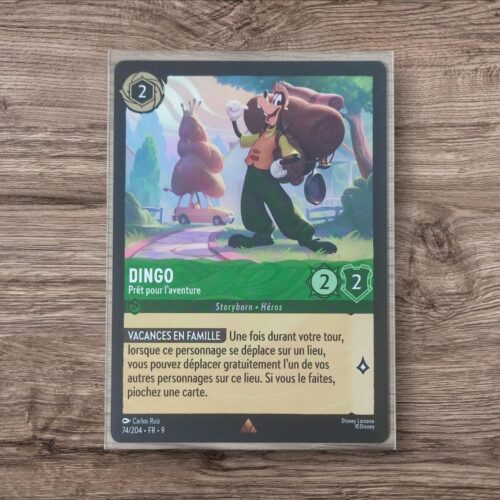 Dingo – Prêt pour l’aventure